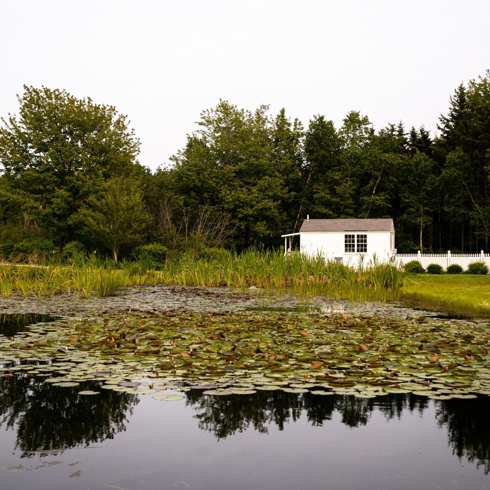Bluebird Ocean Point Inn Exteriör bild